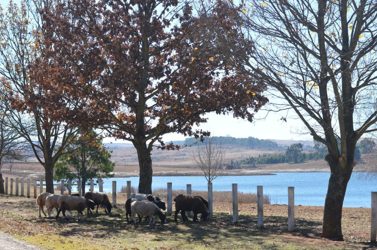 Dullstroom On The Dam Buitenkant foto